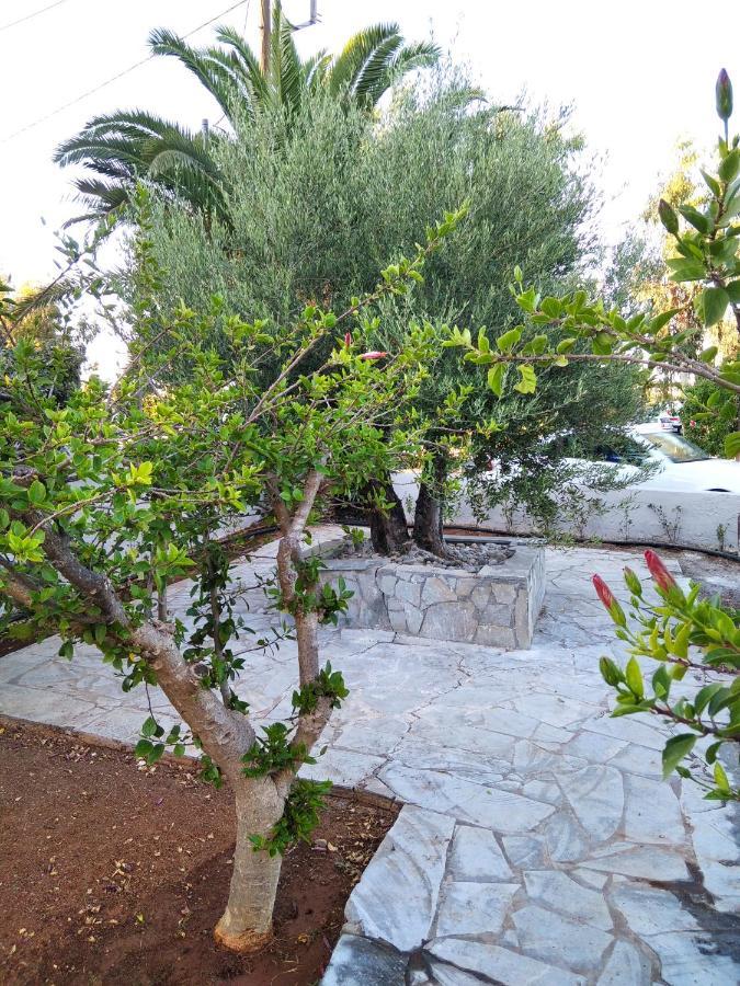 Cretanvibes Apartments Hersonissos  Luaran gambar