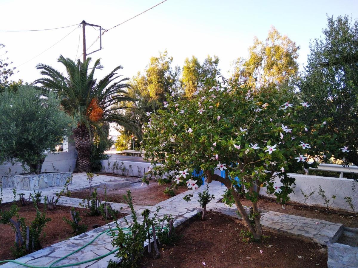 Cretanvibes Apartments Hersonissos  Luaran gambar